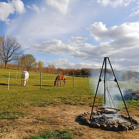 Holiday home Siedlisko Dwa Zurawie - Uroczy Nad Stawem, Z Kominkiem, Obok Konie *