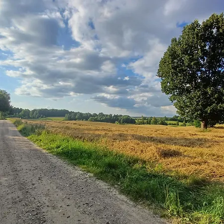 Siedlisko Dwa Zurawie - Uroczy Nad Stawem, Z Kominkiem, Obok Konie Ferienhaus Czarna Huta