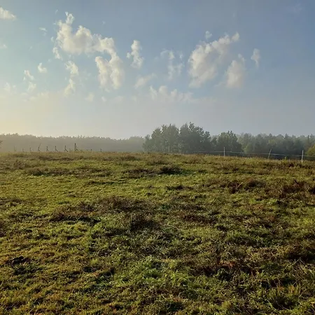 Siedlisko Dwa Zurawie - Uroczy Nad Stawem, Z Kominkiem, Obok Konie Czarna Huta