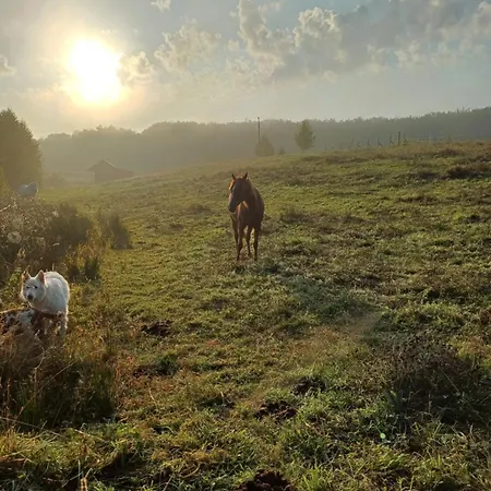 Siedlisko Dwa Zurawie - Uroczy Nad Stawem, Z Kominkiem, Obok Konie
