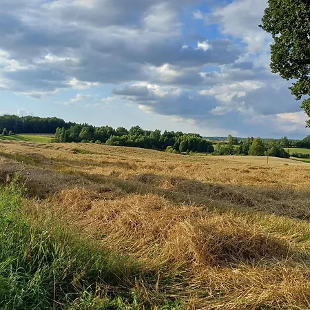 Siedlisko Dwa Zurawie - Uroczy Nad Stawem, Z Kominkiem, Obok Konie * Czarna Huta
