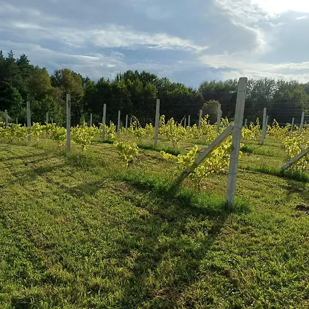 Ferienhaus Siedlisko Dwa Zurawie - Uroczy Nad Stawem, Z Kominkiem, Obok Konie Czarna Huta