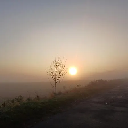 Siedlisko Dwa Zurawie - Uroczy Nad Stawem, Z Kominkiem, Obok Konie * Czarna Huta