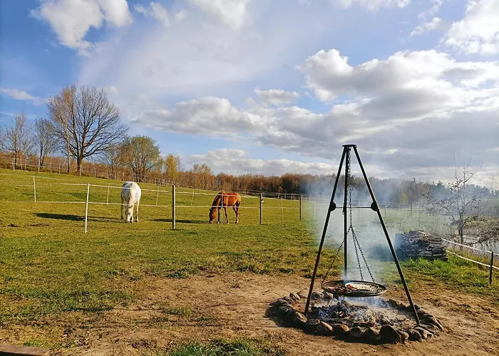 Holiday home Siedlisko Dwa Zurawie - Uroczy Nad Stawem, Z Kominkiem, Obok Konie *