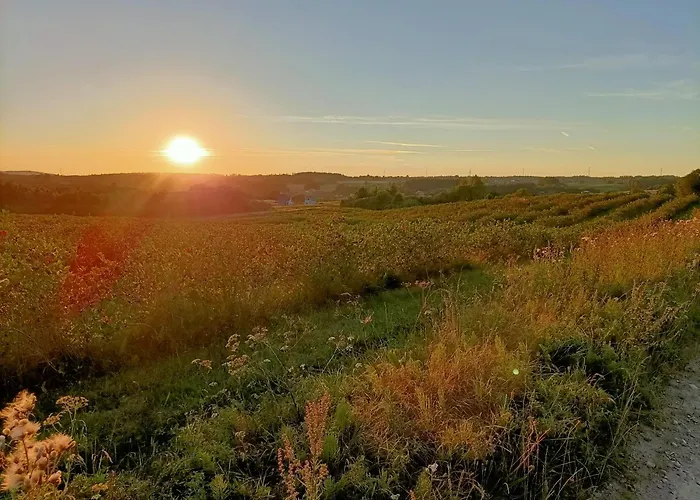 Siedlisko Dwa Zurawie - Uroczy Nad Stawem, Z Kominkiem, Obok Konie