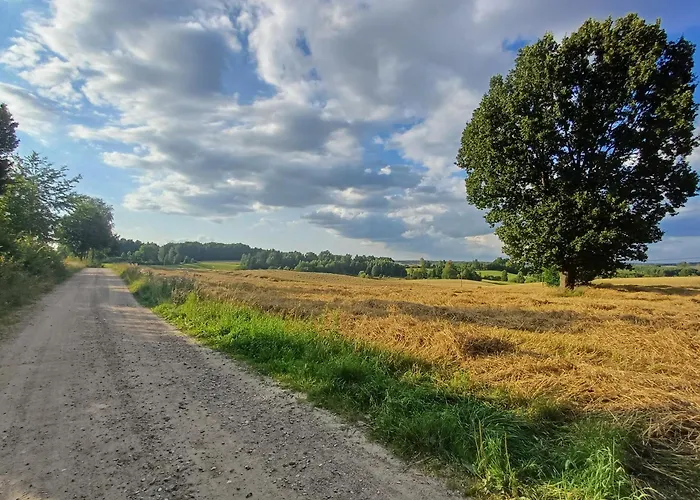 Siedlisko Dwa Zurawie - Uroczy Nad Stawem, Z Kominkiem, Obok Konie Holiday home Czarna Huta