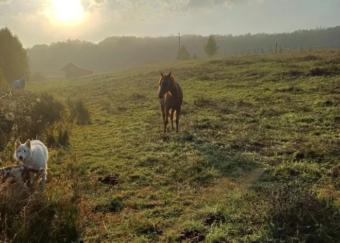 Siedlisko Dwa Zurawie - Uroczy Nad Stawem, Z Kominkiem, Obok Konie