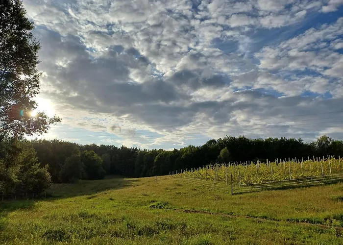 Siedlisko Dwa Zurawie - Uroczy Nad Stawem, Z Kominkiem, Obok Konie Holiday home Czarna Huta