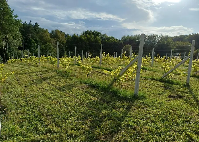 Holiday home Siedlisko Dwa Zurawie - Uroczy Nad Stawem, Z Kominkiem, Obok Konie Czarna Huta