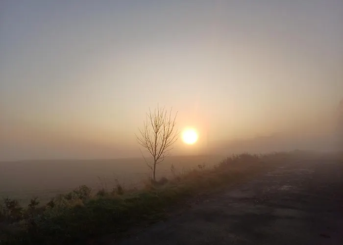 Siedlisko Dwa Zurawie - Uroczy Nad Stawem, Z Kominkiem, Obok Konie * Czarna Huta